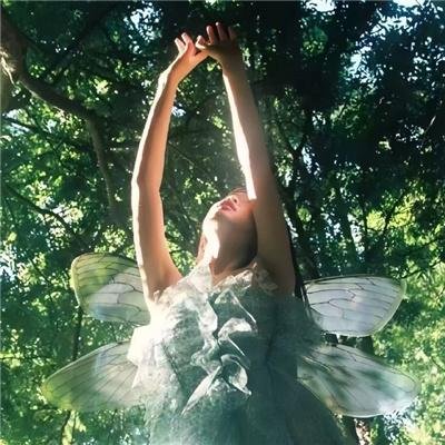 南岛红树林保护区