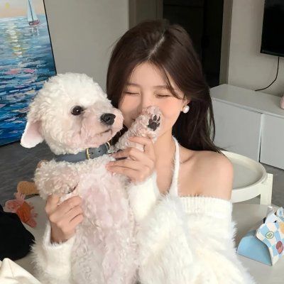 西湾海豚保护行动