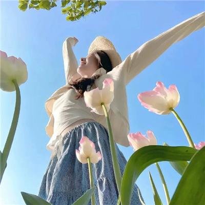 北岸海鲜冷链物流